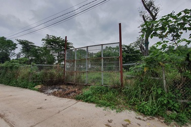 Giá đất 2 bờ sông Hồng "bứt tốc" tăng 10 lần đón đầu quy hoạch đô thị mới