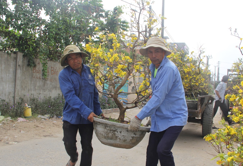 Phú Yên: Người lao động “còng lưng” kiếm tiền những ngày giáp Tết - 6 Phú Yên: Người lao động “còng lưng” kiếm tiền những ngày giáp Tết - 6