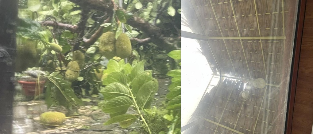 Quốc Trung oằn mình giữ cửa kính, đồi nhà Việt Hoàn tan nát vì bão Yagi - 2 Quốc Trung oằn mình giữ cửa kính, đồi nhà Việt Hoàn tan nát vì bão Yagi - 2