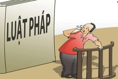 Nguy cơ lây lan dịch bệnh từ "tờ giấy lộn chết người"