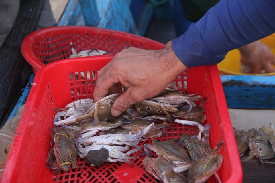 Những lao động làng chài mưu sinh trong buổi sáng sớm - 5 Những lao động làng chài mưu sinh trong buổi sáng sớm - 5