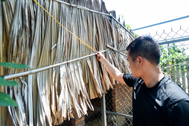 9x cực nhọc chống nóng cho đàn chó khổng lồ giá hàng trăm triệu đồng - 17 9x cực nhọc chống nóng cho đàn chó khổng lồ giá hàng trăm triệu đồng - 17