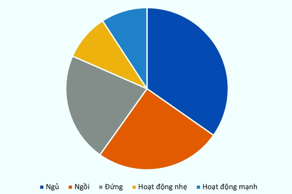 Nghiên cứu tiết lộ thời gian ngồi, đứng, ngủ tối ưu cho sức khỏe - 1