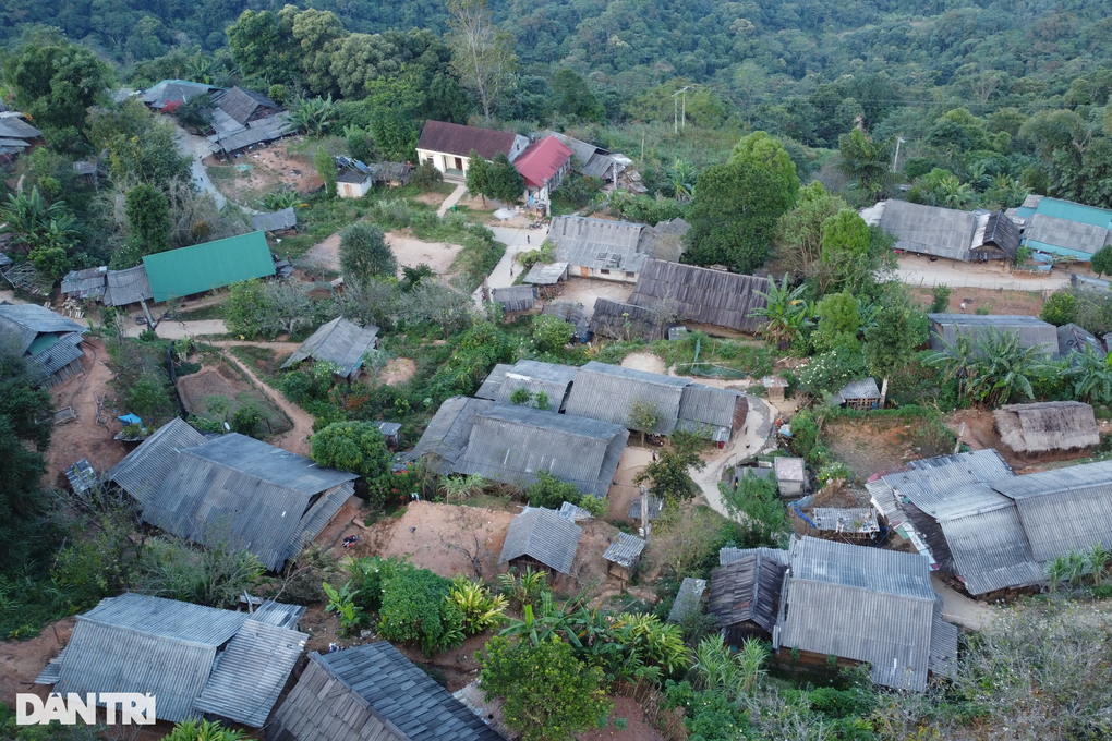 Gia đình 3 thế hệ ở huyện miền núi trồng hàng vạn cây gỗ quý Sa mu, Pơ mu - 6 Gia đình 3 thế hệ ở huyện miền núi trồng hàng vạn cây gỗ quý Sa mu, Pơ mu - 6
