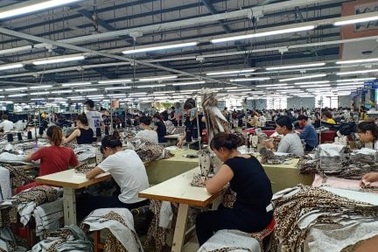 Thanh Hóa: Khó xác định nhóm lao động tự do trong gói hỗ trợ 62.000 tỷ đồng