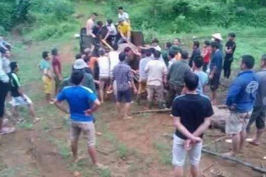 Sét đánh chết 6 con trâu, người chăn bất tỉnh