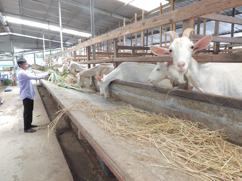 Tiền Giang: Tỷ lệ hộ nghèo giảm vượt chỉ tiêu đề ra - 1 Tiền Giang: Tỷ lệ hộ nghèo giảm vượt chỉ tiêu đề ra - 1