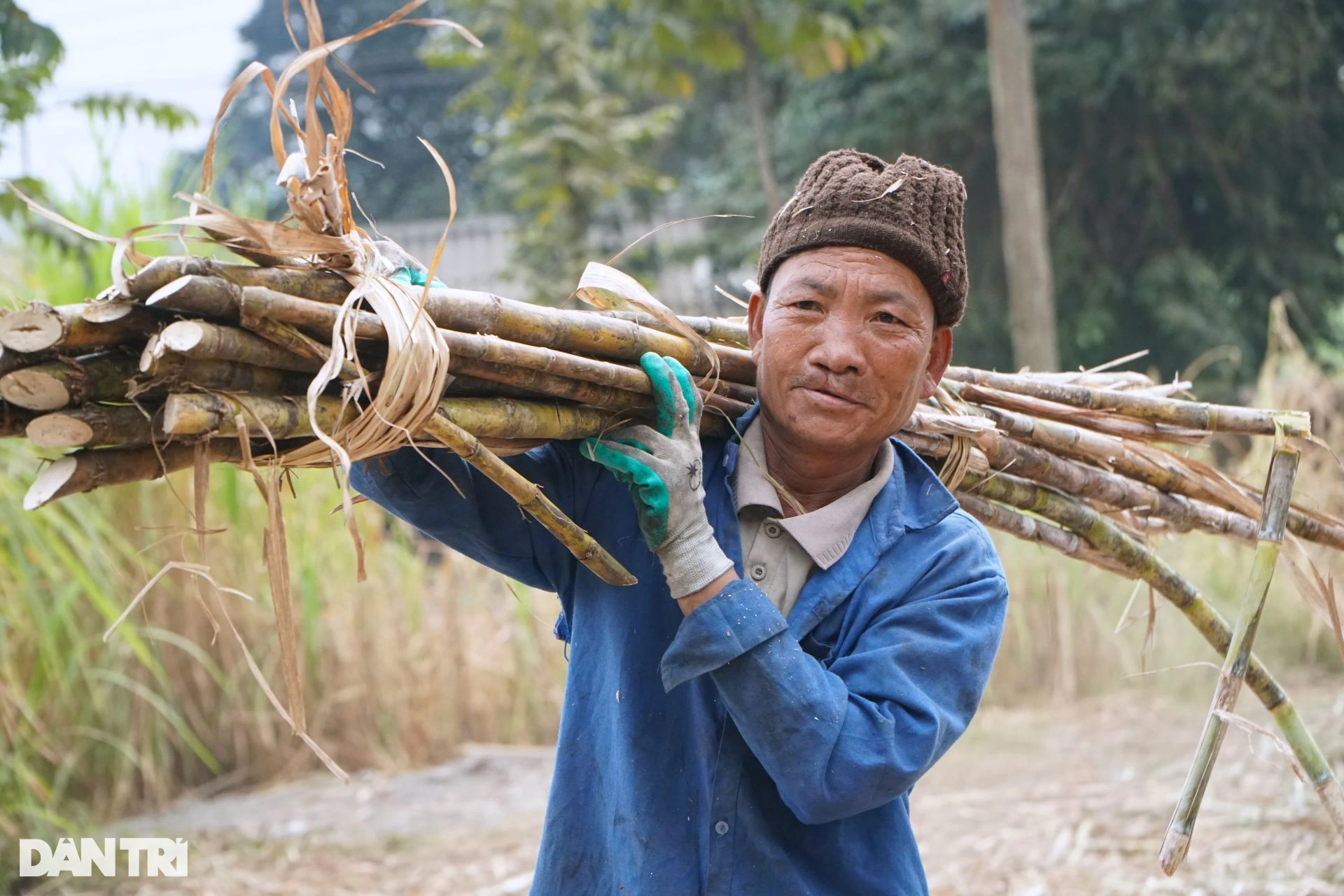 Nơi chuyên sản xuất thứ mật ngọt ăn với bánh chưng ngày Tết - 2 Nơi chuyên sản xuất thứ mật ngọt ăn với bánh chưng ngày Tết - 2