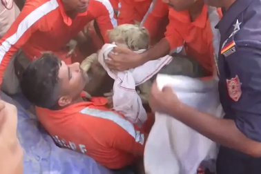 Ấn Độ giải cứu thành công bé trai rơi xuống giếng sâu