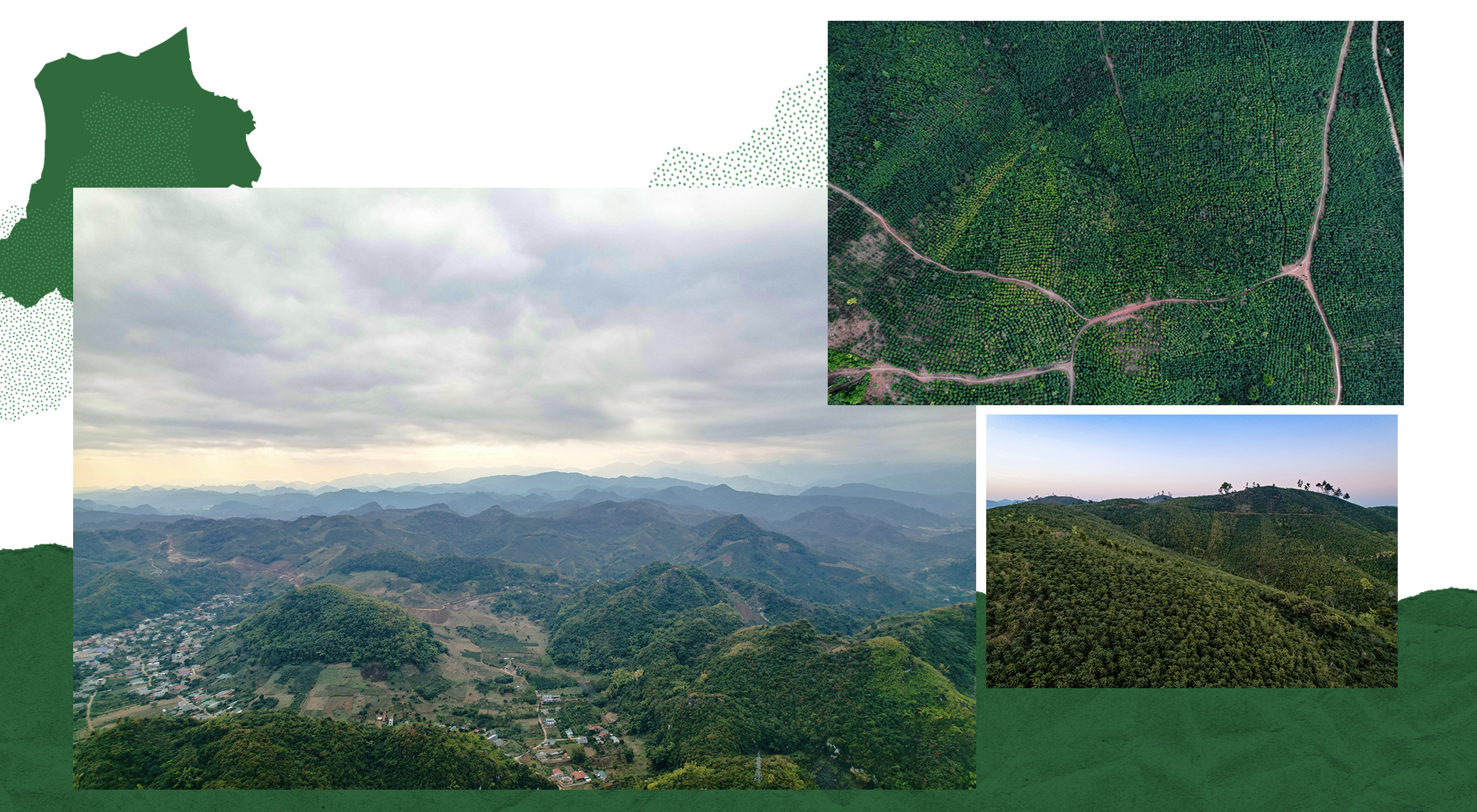 Minh Tien Group chắp cánh thương hiệu cà phê Arabica Sơn La vươn xa - 3 Minh Tien Group chắp cánh thương hiệu cà phê Arabica Sơn La vươn xa - 3