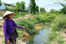 Ai chủ mưu cấp hơn 15.600m2 đất công cho nguyên xã đội trưởng?