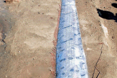 Cá lạ dài 4m dạt vào bờ biển