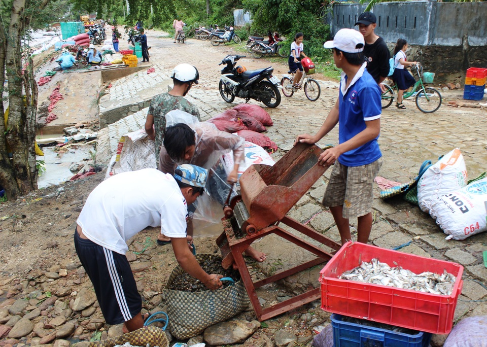 Kinh hãi rác thải nhựa bóp chết danh thắng Vịnh Xuân Đài tại Phú Yên! - 4 Kinh hãi rác thải nhựa bóp chết danh thắng Vịnh Xuân Đài tại Phú Yên! - 4