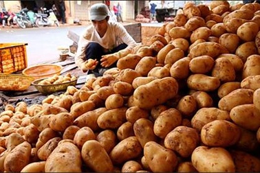 Liên tiếp bắt giữ hàng chục tấn nông sản không rõ nguồn gốc