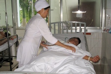 Bắt ong vò vẽ, bị đốt hàng trăm vết