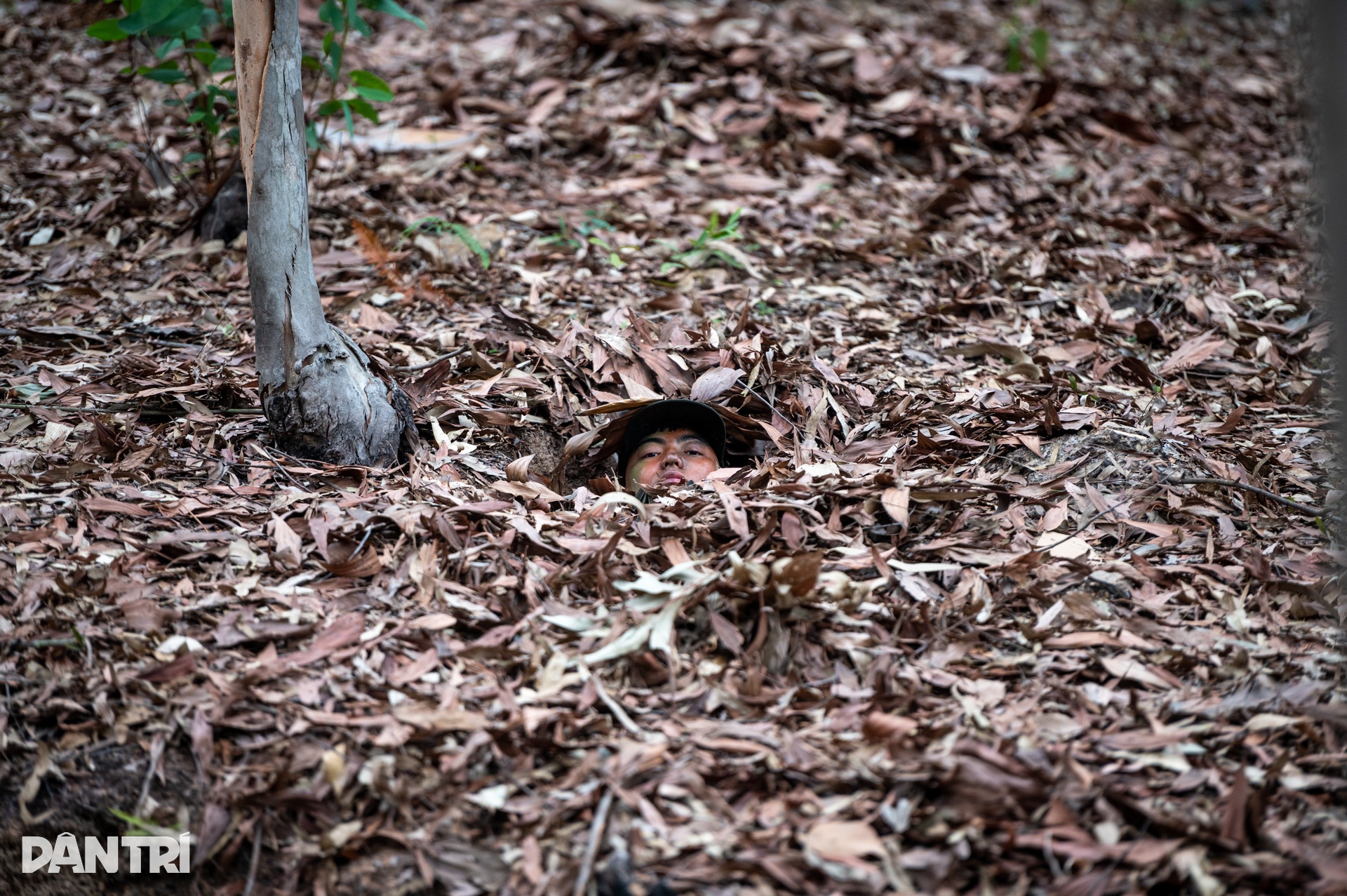 Cảnh sát chống khủng bố: Bí ẩn dưới lớp lá bạch đàn khô - 10 Cảnh sát chống khủng bố: Bí ẩn dưới lớp lá bạch đàn khô - 10