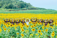 Nghệ An: Doanh thu du lịch khoảng 100 tỷ đồng trong 3 ngày nghỉ Tết