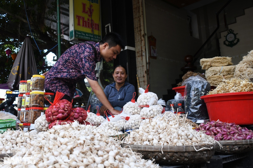 Đặc sản tỏi Lý Sơn chỉ 40.000 đồng/kg, nông dân càng bán nhiều càng lỗ - 2