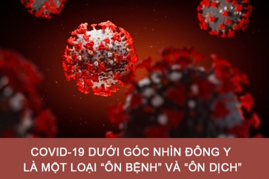 Siro Zhealth: Kết hợp cả Xuyên tâm liên và Kim ngân hoa