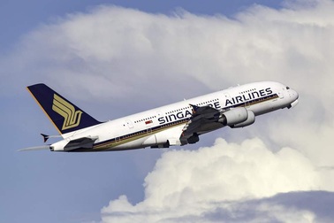 Bất ngờ tìm thấy răng trong suất ăn của hãng hàng không Singapore Airlines