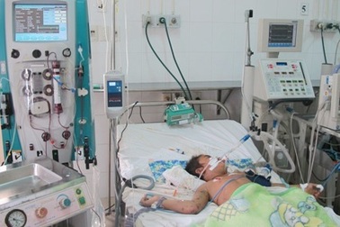 2 cháu bé tử vong do bị ong đốt hàng trăm mũi