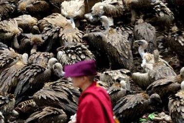 Bí ẩn tục "kền kền ăn xác chết" của người Tây Tạng