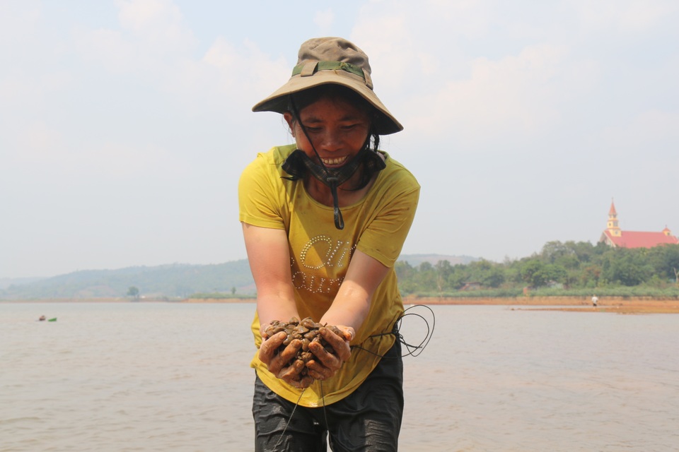 Kiếm tiền triệu mỗi ngày nhờ cào hến giữa... lòng thành phố - 6 Kiếm tiền triệu mỗi ngày nhờ cào hến giữa... lòng thành phố - 6