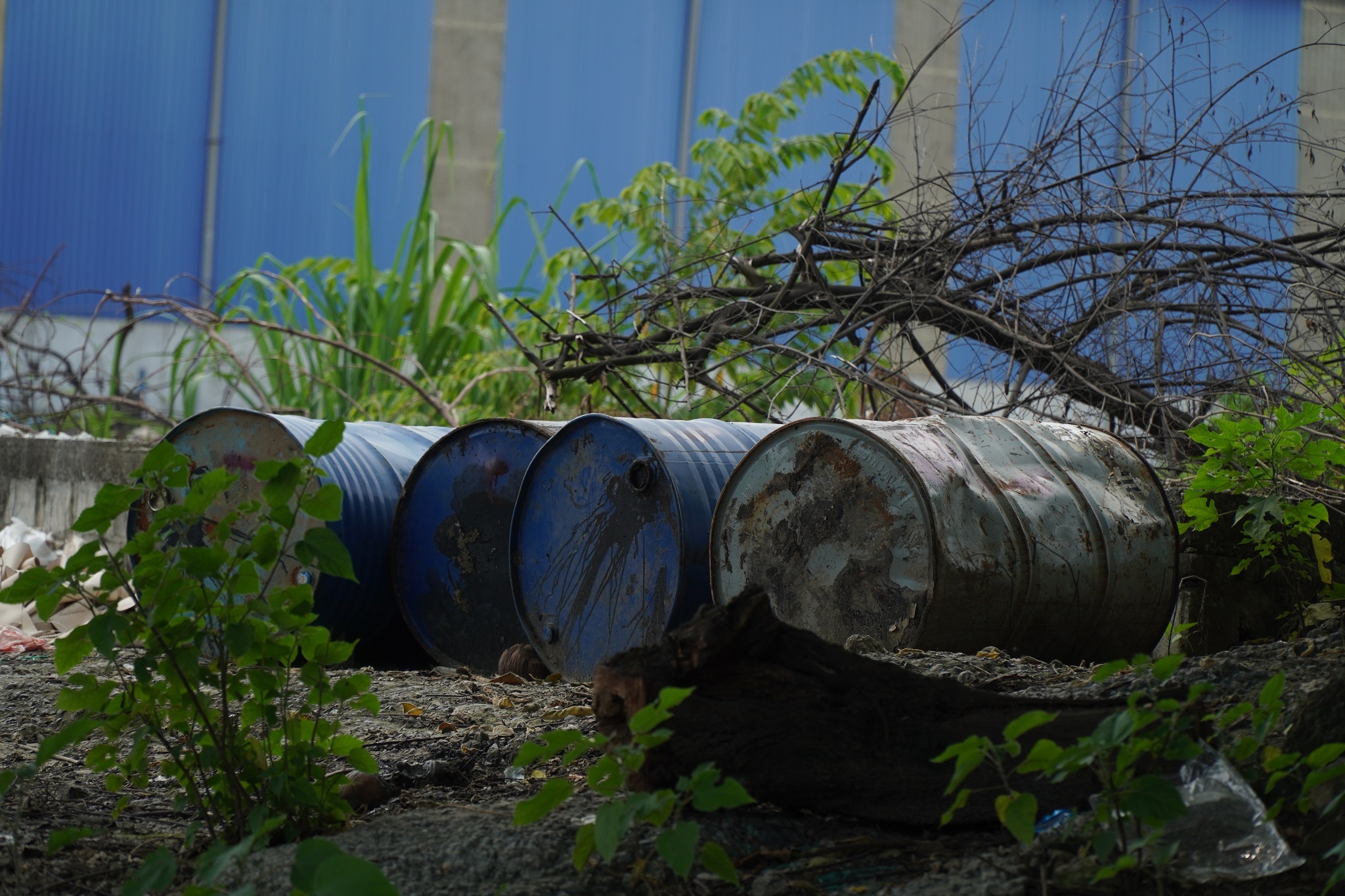 Hà Nội: Rác thải tràn lan trên đại lộ 7.500 tỷ đồng - 6