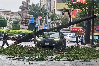 Cây xanh tét nhánh đè ô tô trong trận mưa lớn ở TPHCM