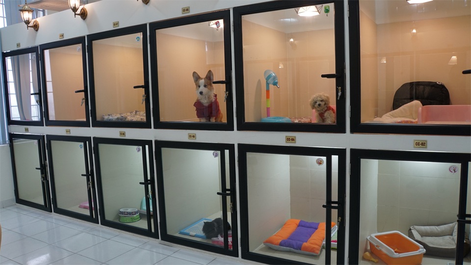 Người Hà Nội gửi thú cưng vào khách sạn để về quê ăn Tết - 5 Người Hà Nội gửi thú cưng vào khách sạn để về quê ăn Tết - 5