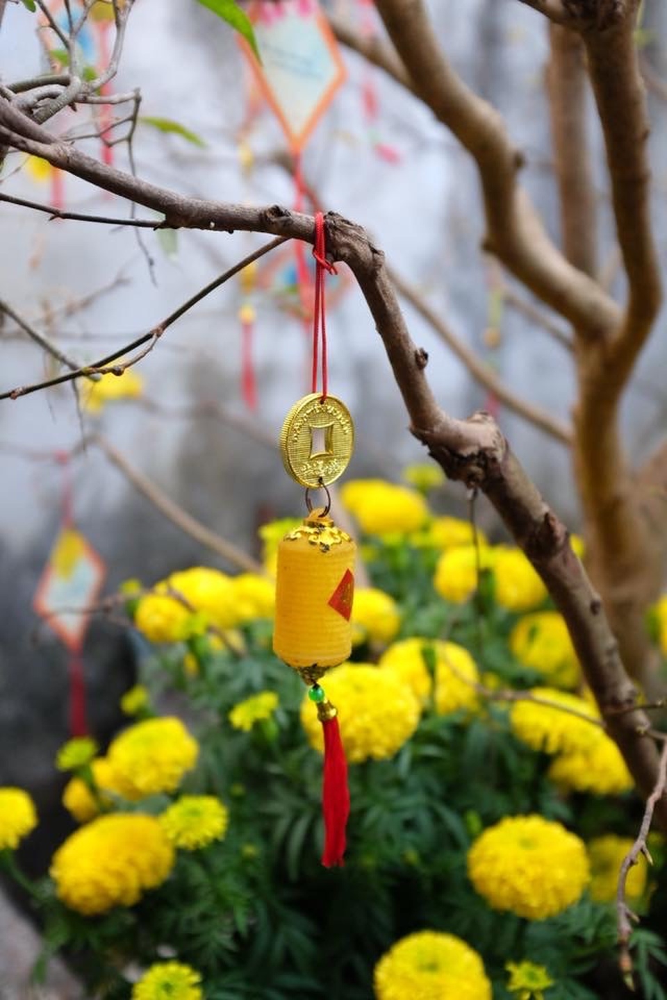 Tết Việt trên đất Mỹ: Tết ở trong tim những người con xa xứ - 8 Tết Việt trên đất Mỹ: Tết ở trong tim những người con xa xứ - 8