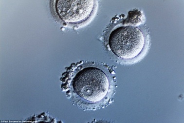 Mục sở thị công nghệ đông lạnh trứng siêu rẻ mới nhất