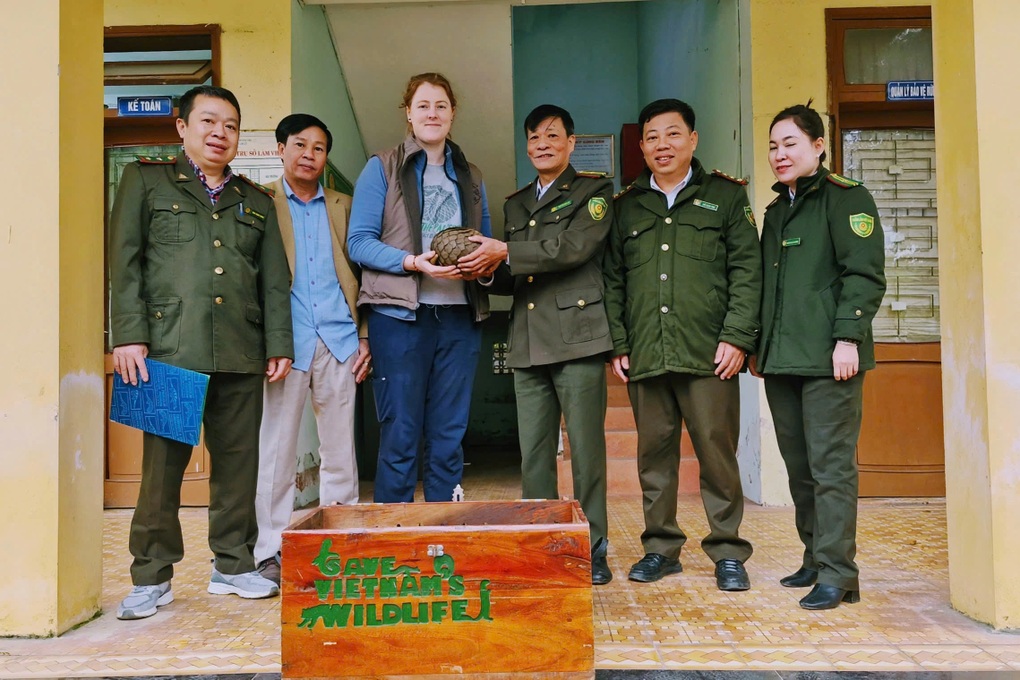 Tê tê quý hiếm bất ngờ bò vào phòng làm việc của người dân - 1 Tê tê quý hiếm bất ngờ bò vào phòng làm việc của người dân - 1