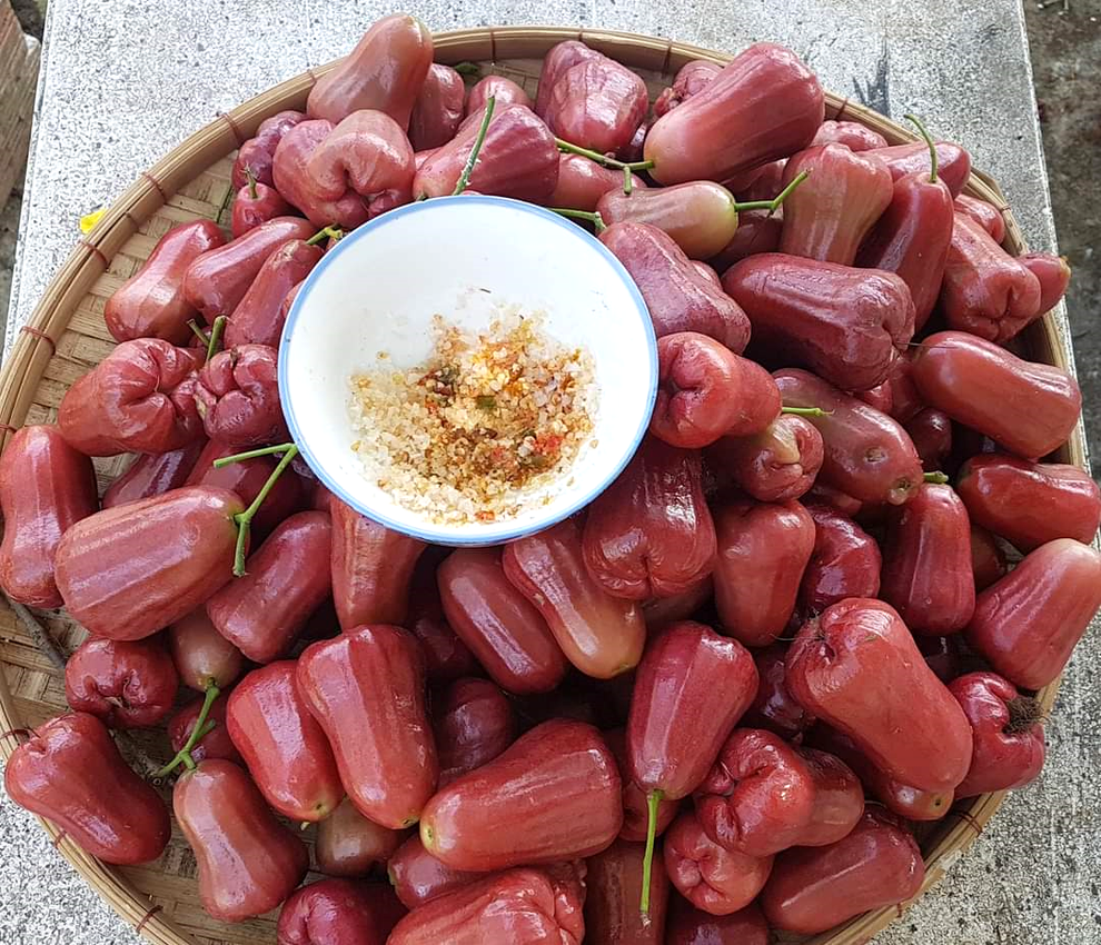Vườn quê tràn ngập hoa và rau trái sạch của mẹ đảm ở Long An - 15 Vườn quê tràn ngập hoa và rau trái sạch của mẹ đảm ở Long An - 15