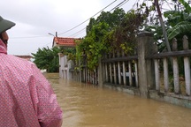 Đà Nẵng: Nhiều nơi vẫn ngập nặng, đã di dời hơn 2.500 người dân