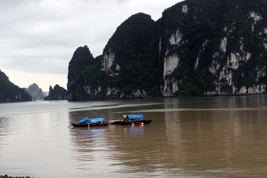 Nhiều dải nước màu đỏ “tấn công” Vịnh Hạ Long