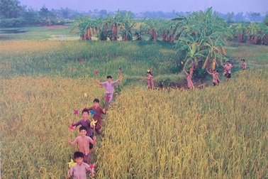 “...Nhưng con ứ thích về quê!”