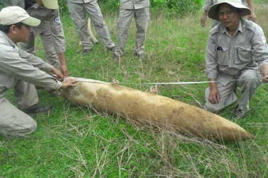 Bom “khủng” phát lộ bên bờ sông sau trận mưa lớn