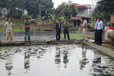 Vụ chết 7 tấn cá: Do bục đường nước thải nhà máy phân bón