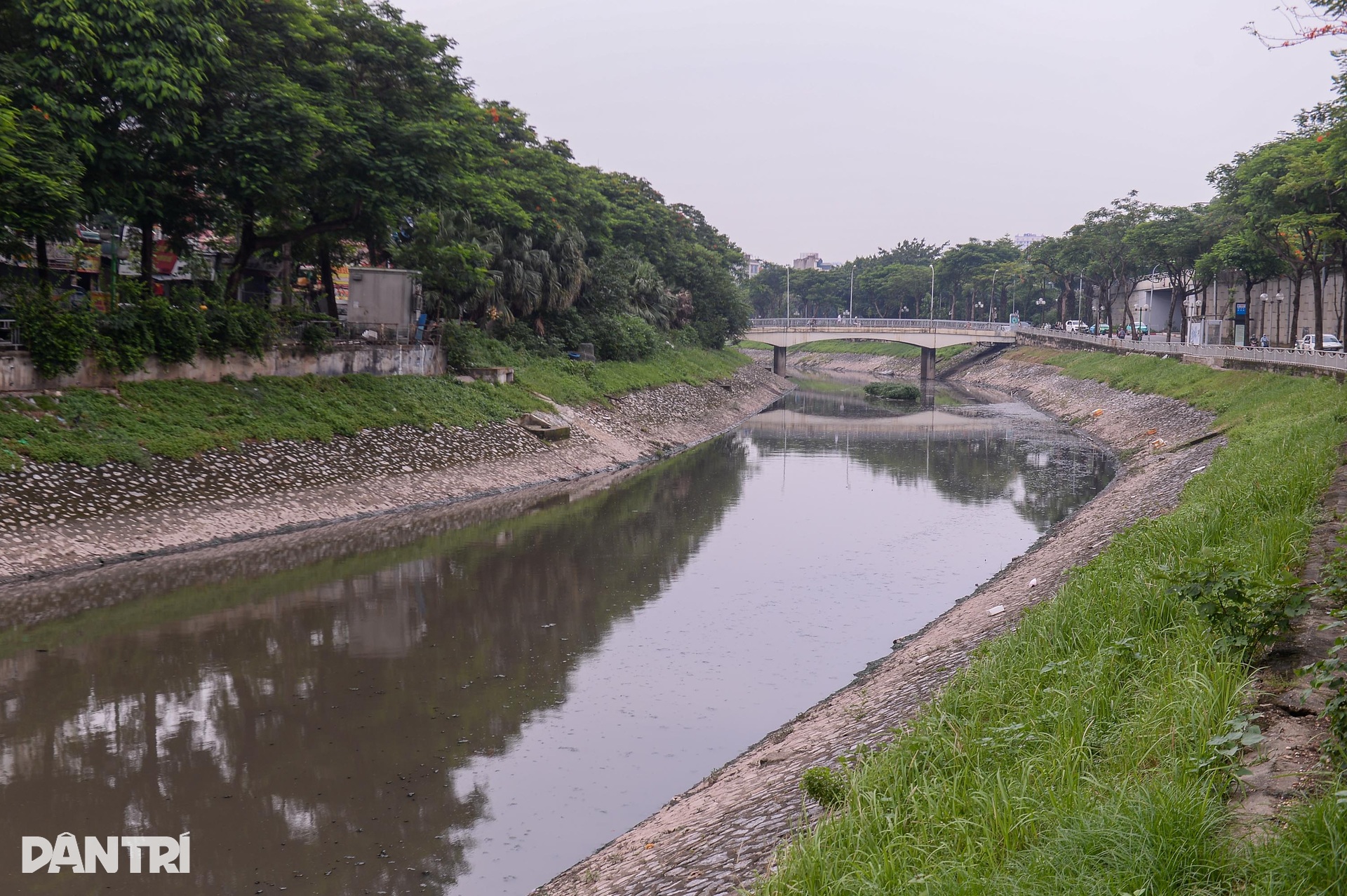 Hiện trạng sông Tô Lịch trước ngày được hồi sinh - 4 Hiện trạng sông Tô Lịch trước ngày được hồi sinh - 4