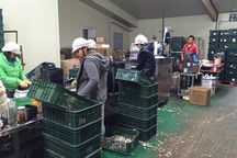 Cảnh báo nguy cơ vô tình trở thành lao động bất hợp pháp tại Hàn Quốc