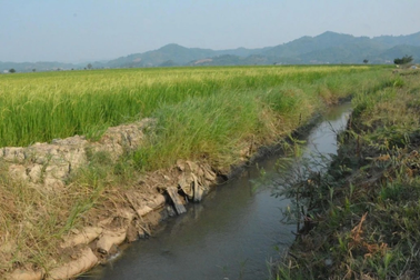 Vụ nghiệm thu khống dự án thủy lợi ở Đắk Lắk: Chủ đầu tư báo cáo thế nào?
