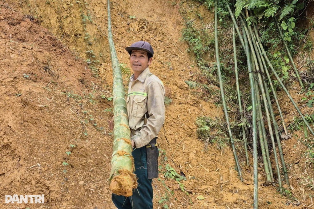 Mỗi tháng thu vài tấn “vàng xanh”, nông dân rủng rỉnh tiền tiêu - 1 Mỗi tháng thu vài tấn “vàng xanh”, nông dân rủng rỉnh tiền tiêu - 1