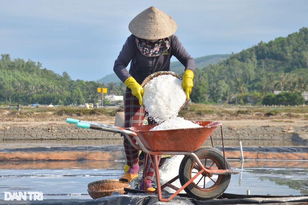 “Vàng trắng”, “bạc mặn” sẽ được giới thiệu đi Mỹ