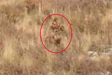 Vợ chồng Mỹ tuyên bố phát hiện "người khổng lồ chân to" trên sườn núi