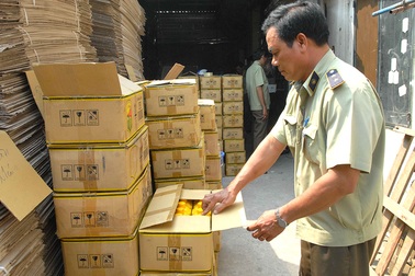 Trắng trợn làm trái quy định, Cục Trồng trọt bị “kiểm điểm”!