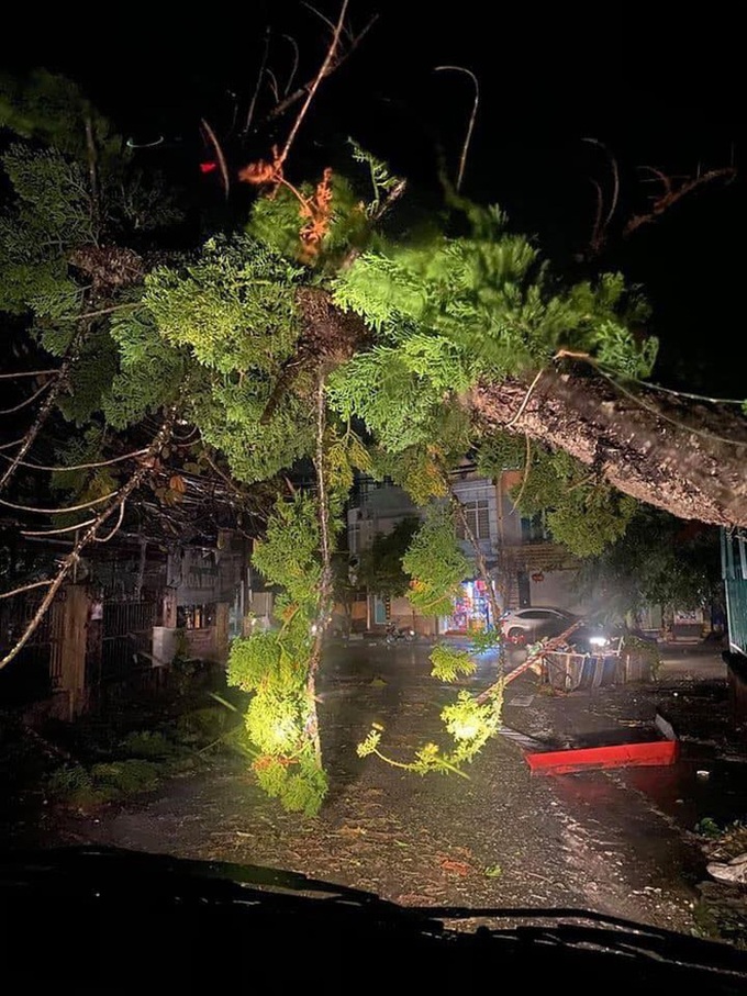 Yên Bái, Lao Cai bất ngờ có mưa đá: Hạt mưa to như viên bi, gió lật mái nhà, quật đổ cây - Ảnh 6.