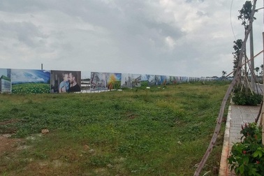 Bất thường: Ruộng muối cũng bị đem ra phân lô, tách thửa