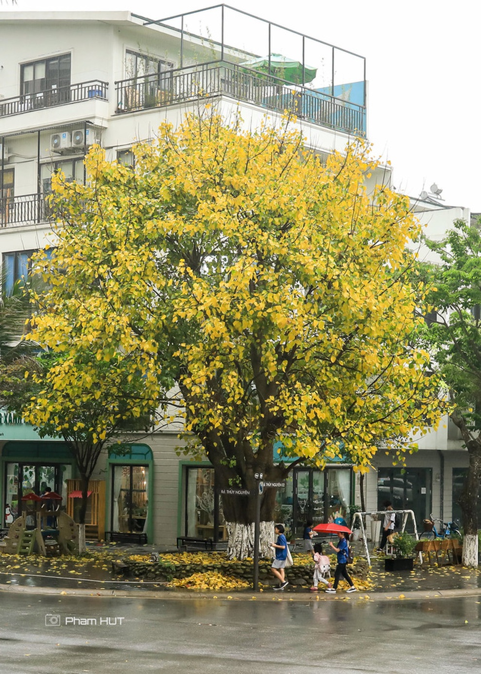 Giảng viên đại học gây bão với những bức ảnh chụp tại thành phố xanh - 9