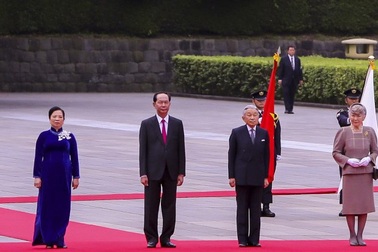 Chủ tịch nước Trần Đại Quang hội kiến Nhà vua và Hoàng hậu Nhật Bản